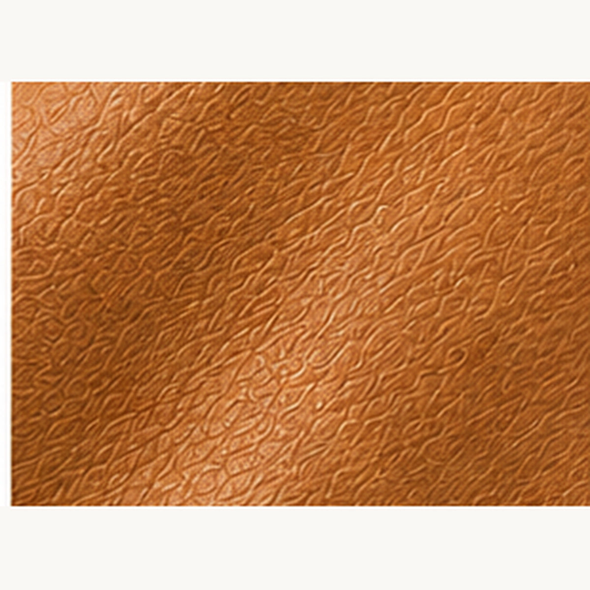 Babuchas Leticia Camel